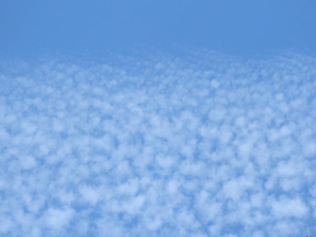 うろこ雲