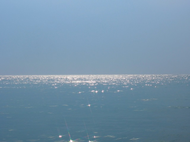 海
