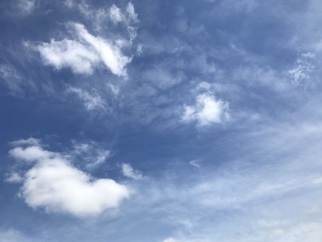 久しぶりの青空