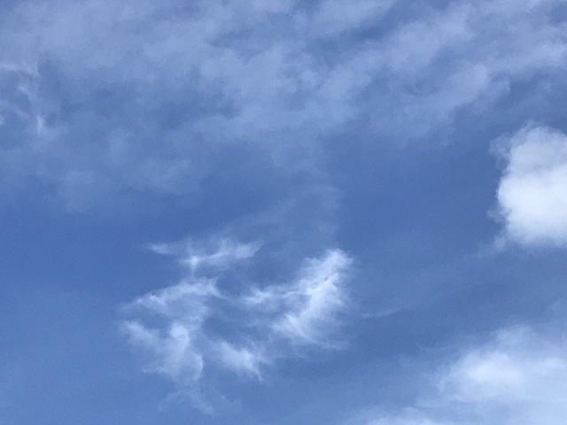 久しぶりの青空